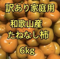 ☆【家庭用】和歌山産 たねなし柿 たっぷり6kgのサムネイル