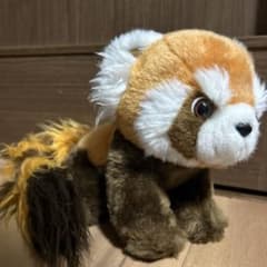 上野動物園　レッサーパンダ　ぬいぐるみのサムネイル