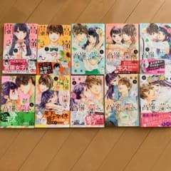 REC☆様専用　高嶺の蘭さん 全巻のサムネイル