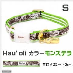 ハワイアン 首輪とリードのセットのサムネイル