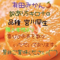和歌山有田みかん　訳あり5kgのサムネイル