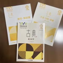 四訂版 プログレス 古典総演習 基本編 3冊セット いいずな書店 - メルカリ