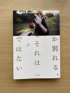 いつか別れるでもそれは今ではない　KADOKAWA 171ページのサムネイル