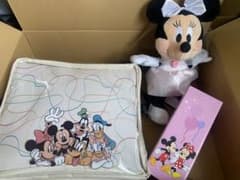 ディズニー　ミッキー＆フレンズプレミアムクリア窓付ショルダーバッグ　ミニー