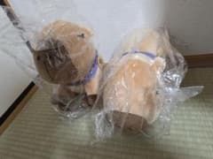 ごらカピ ぬいぐるみ 2個セット