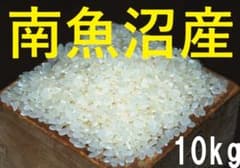 令和8年産 本物の南魚沼産を小さな農家がお届け コシヒカリ 10kgのサムネイル