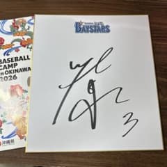 横浜DeNAベイスターズ 小田康一郎選手 直筆サイン色紙 2026沖縄
