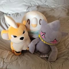 포켓몬도 푹신한 봉제인형 3장 세트