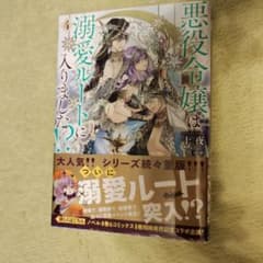 悪役令嬢は溺愛ルートに入りました!?(4)のサムネイル