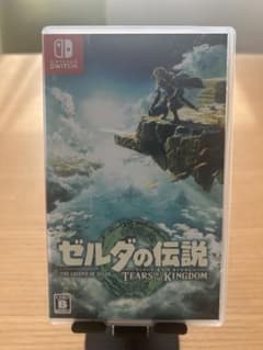 젤다의 전설 TEARS OF THE KINGDOM