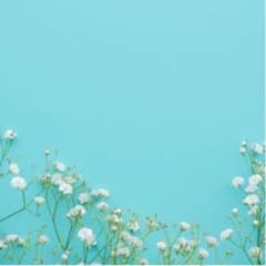 きのさん専用のサムネイル