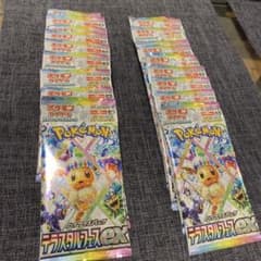 早い者勝ち】【新品未開封】ポケモンカード テラスタルフェスEX 20