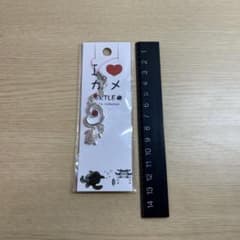 カメのキーホルダーのサムネイル