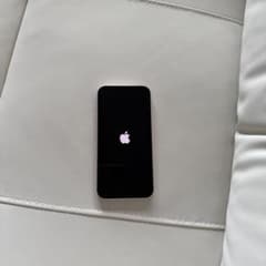 Apple iPhone13 256G