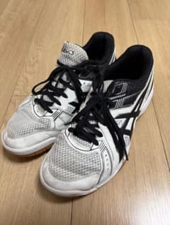 ASICS Volleyball Shoes, White/Black, Size 25.5cm