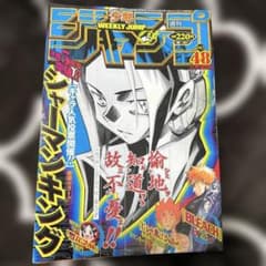 週刊少年ジャンプ 47号 2001年シャーマンキング表紙 Yahoo!オークション - 週刊少年ジャンプ 2001年 47号 表紙・巻頭カラー