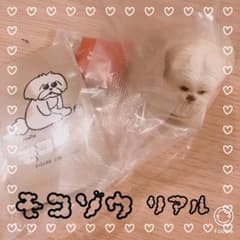お値下げ！モコゾウ＊リアルのサムネイル