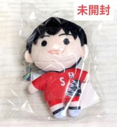 新品未開封バレーボール日本代表 ぬいぐるみキーホルダー 高橋藍 大塚達宣たつらん し*り様 男子バレー 大塚達宣 ぬいぐるみキーホルダー - メルカリ