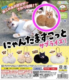 にゃんたますこっとサプライズ びっくりトラのサムネイル