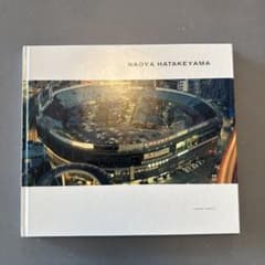 NAOYA HATAKEYAMA | 畠山直哉 | HATJE CANTZ m33956833245_1.jpg?1756187051