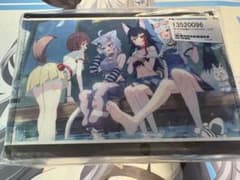 ゲーマーズ デュアルデッキケース 混沌の女神様