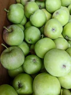 摘果りんご 加工用りんご 8ｋｇ 岩手県産 減農薬栽培 ふじ 王林 金星などのサムネイル