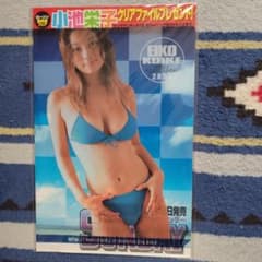 小池栄子クリアファイルのサムネイル