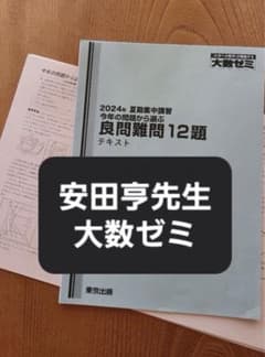 2024大数ゼミ 安田亨先生 配布された解説プリント付き - メルカリ