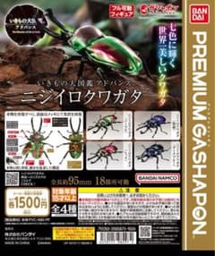 ★いきもの大図鑑【ニジイロクワガタ】4種＋後翅(小)ディスプレイ1個セット★ m33964782560_1.jpg?1736646527