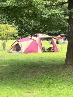 Coleman 2룸 텐트 버건디