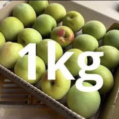 今期最終 希少特大 和歌山みなべ産 南高梅 青梅 1kg 4L5L - メルカリ