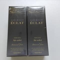ヘアボーテエクラ ボタニカル エアカラーフォーム ナチュラルブラック 80g×2のサムネイル