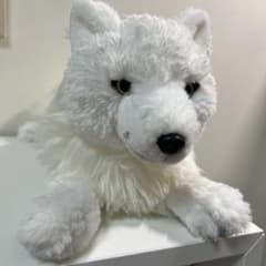 那須どうぶつ王国 ホッキョクオオカミ ひざおおかみ ぬいぐるみ - メルカリ