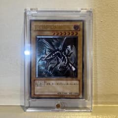 遊戯王 引退品 真紅眼の黒竜 レッドアイズ レア 301-056 レリーフ 闇