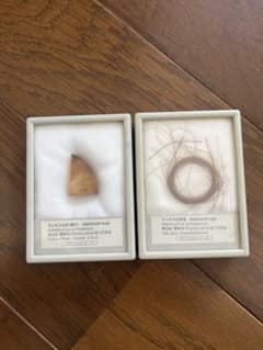マンモスの牙と毛の標本セットのサムネイル