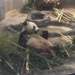 まつさん専用 腕時計のサムネイル
