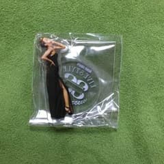 【かずみ様専用】安室奈美恵 ライブ会場限定 アクリルスタンドのサムネイル