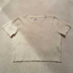 ZARA クロップド ニットTシャツのサムネイル