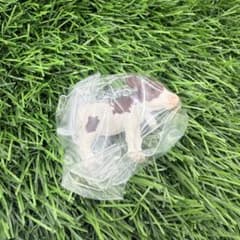 子ウシアピるチャーム カウベル付きの子ウシ 白のサムネイル