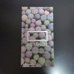 ベアブリック BE@RBRICK BOTANIZE ボタナイズ 400％のサムネイル