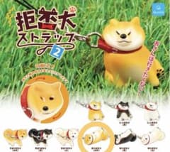 拒否柴2のサムネイル