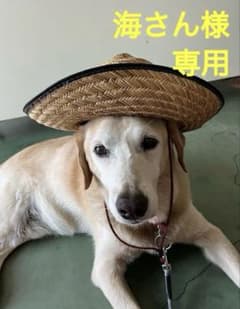 海さん様専用ですのサムネイル