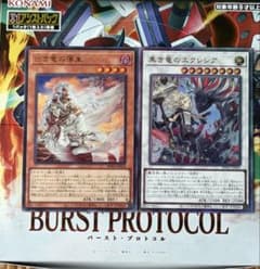遊戯王 白き竜の落胤 ウルトラ 黒き竜のエクレシア レリーフ 2枚セット