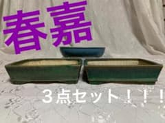 春嘉3点セット 春嘉3点セット - メルカリ