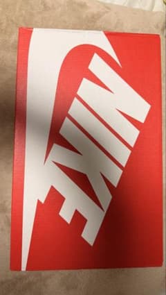 NIKE コートビジョン LO HF1068-133 27.5のサムネイル