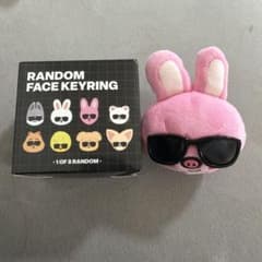 Stray Kids RANDOM FACE KEYRING トゥエッキのサムネイル