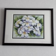 ★美品★【額装済み】ＧＡＲＲＹ　ＰＡＬＭ　絵画　プルメリア　ハワイアン ☆美品☆【額装済み】GARRY PALM 絵画 プルメリア ハワイアン