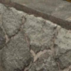 取り置きのサムネイル