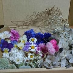 miyutake 様専用NO 4のサムネイル