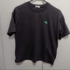 半袖Tシャツ 150cm カメレオン刺繍のサムネイル
